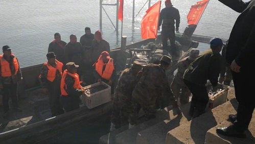 瓦房店新闻爆料事件,真相与舆论的交织  第1张