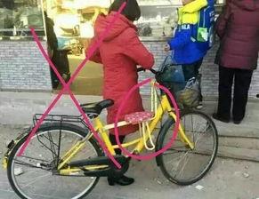 共享自行车爆料新闻报道,揭秘背后真相与困境 第1张 共享自行车爆料新闻报道,揭秘背后真相与困境 第1张