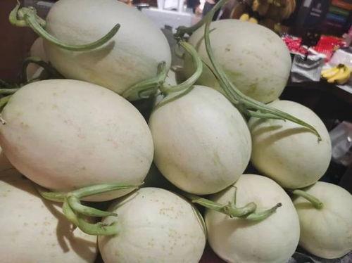 免费吃瓜链接黄,揭秘免费吃瓜链接背后的黄生之谜 第1张 免费吃瓜链接黄,揭秘免费吃瓜链接背后的黄生之谜 第1张