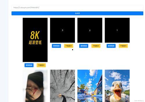 爆料发短视频有用吗,揭秘其传播效果与影响力 第3张 爆料发短视频有用吗,揭秘其传播效果与影响力 第3张
